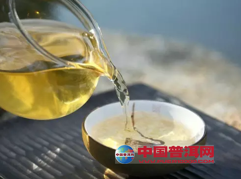 普洱茶