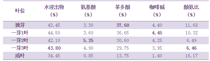 普洱茶