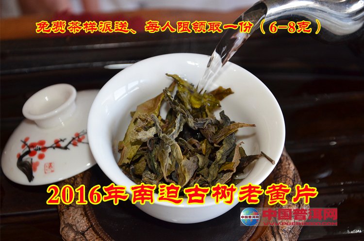 普洱茶