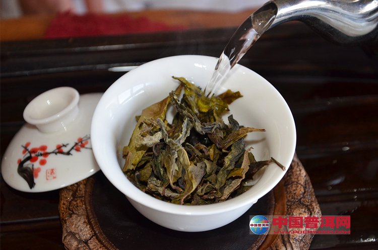 普洱茶