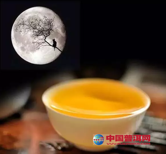 普洱茶