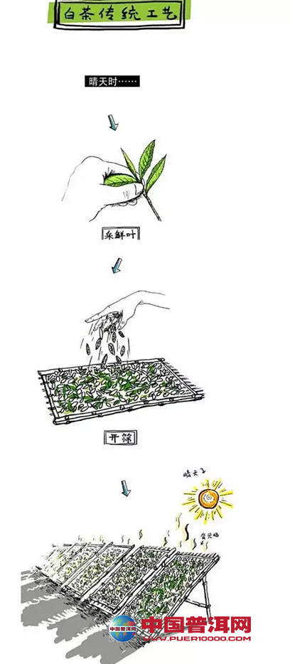 <u><a href='http://www.puer10000.com/puerzhishi/32854.html' target='_blank'>ն</a></u>