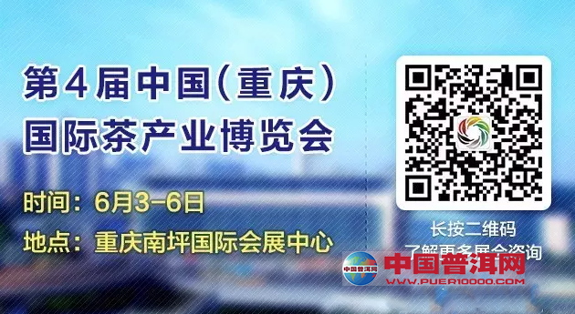 普洱茶