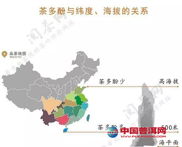 普洱茶