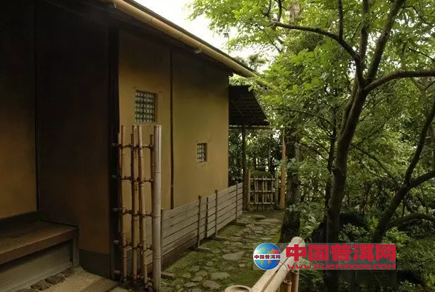 普洱茶