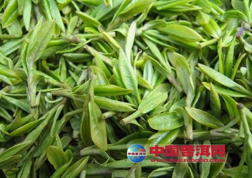 <u><a href='http://www.puer10000.com/puerzhishi/32854.html' target='_blank'>普洱<u><a href='http://www.puer10000.com/puerzhishi/100997.html' target='_blank'>茶</a></u></a></u>