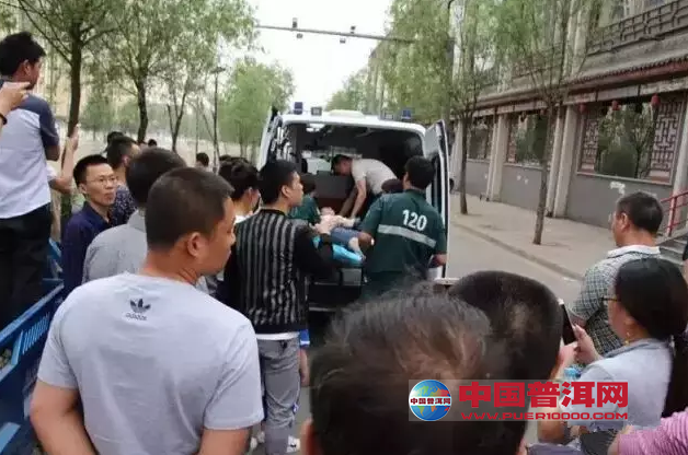 普洱茶