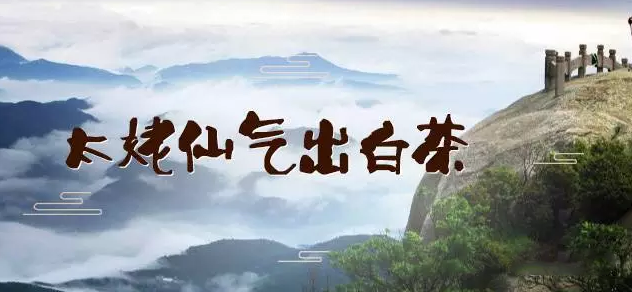 <u><a href='http://www.puer10000.com/puerzhishi/32854.html' target='_blank'>普洱<u><a href='http://www.puer10000.com/puerzhishi/100997.html' target='_blank'>茶</a></u></a></u>