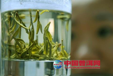 <u><a href='http://www.puer10000.com/puerzhishi/32854.html' target='_blank'>普洱<u><a href='http://www.puer10000.com/puerzhishi/100997.html' target='_blank'>茶</a></u></a></u>
