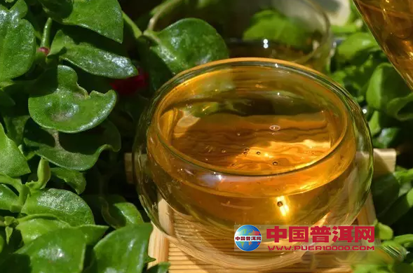 普洱茶