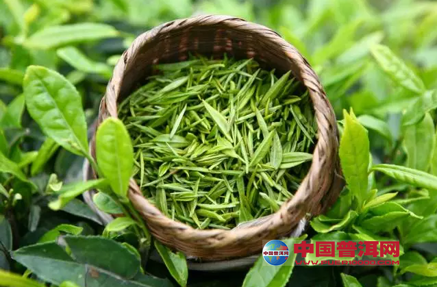 <u><a href='http://www.puer10000.com/puerzhishi/32854.html' target='_blank'>普洱<u><a href='http://www.puer10000.com/puerzhishi/100997.html' target='_blank'>茶</a></u></a></u>