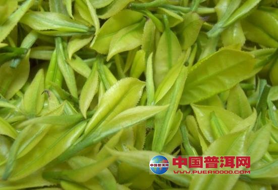 <u><a href='http://www.puer10000.com/puerzhishi/32854.html' target='_blank'>普洱<u><a href='http://www.puer10000.com/puerzhishi/100997.html' target='_blank'>茶</a></u></a></u>