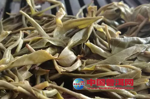 <u><a href='http://www.puer10000.com/puerzhishi/32854.html' target='_blank'>普洱茶</a></u>