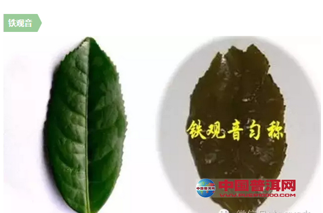 <u><a href='http://www.puer10000.com/puerzhishi/32854.html' target='_blank'>普洱<u><a href='http://www.puer10000.com/puerzhishi/100997.html' target='_blank'>茶</a></u></a></u>