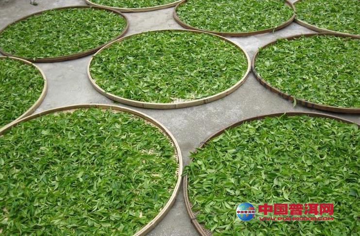 <u><a href='http://www.puer10000.com/puerzhishi/32854.html' target='_blank'>ն<u><a href='http://www.puer10000.com/puerzhishi/100997.html' target='_blank'></a></u></a></u>