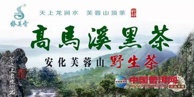 普洱茶