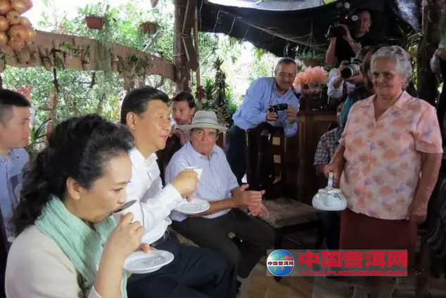 普洱茶