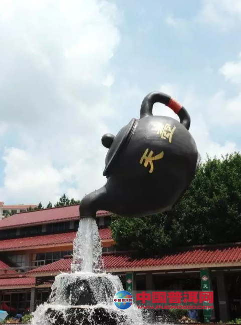 普洱茶