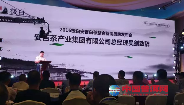 普洱茶