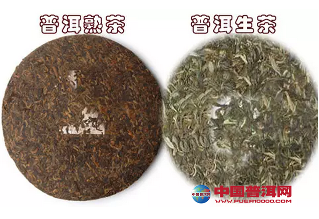 普洱茶