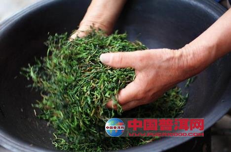 <u><a href='http://www.puer10000.com/puerzhishi/32854.html' target='_blank'>普洱<u><a href='http://www.puer10000.com/puerzhishi/100997.html' target='_blank'>茶</a></u></a></u>