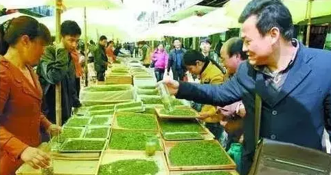 普洱茶
