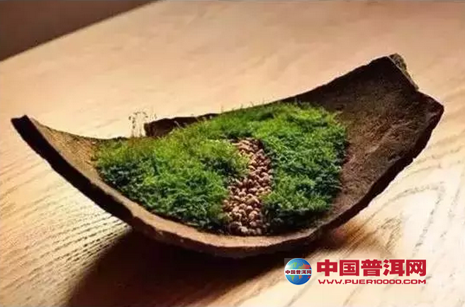 普洱茶