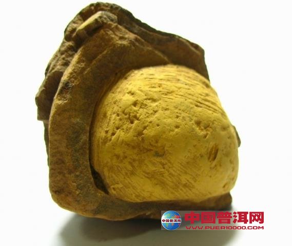 <u><a href='http://www.puer10000.com/puerzhishi/32854.html' target='_blank'>普洱<u><a href='http://www.puer10000.com/puerzhishi/100997.html' target='_blank'>茶</a></u></a></u>