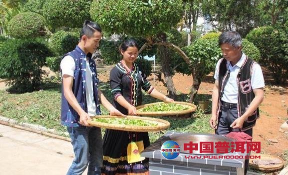 普洱茶