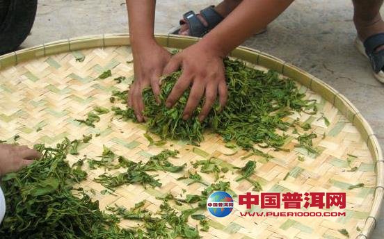 普洱茶