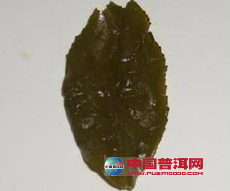 <u><a href='http://www.puer10000.com/puerzhishi/32854.html' target='_blank'>普洱茶</a></u>