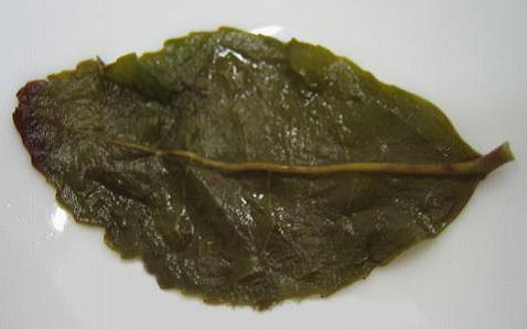 <u><a href='http://www.puer10000.com/puerzhishi/32854.html' target='_blank'>普洱茶</a></u>