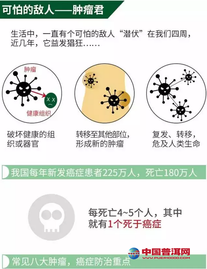 普洱茶