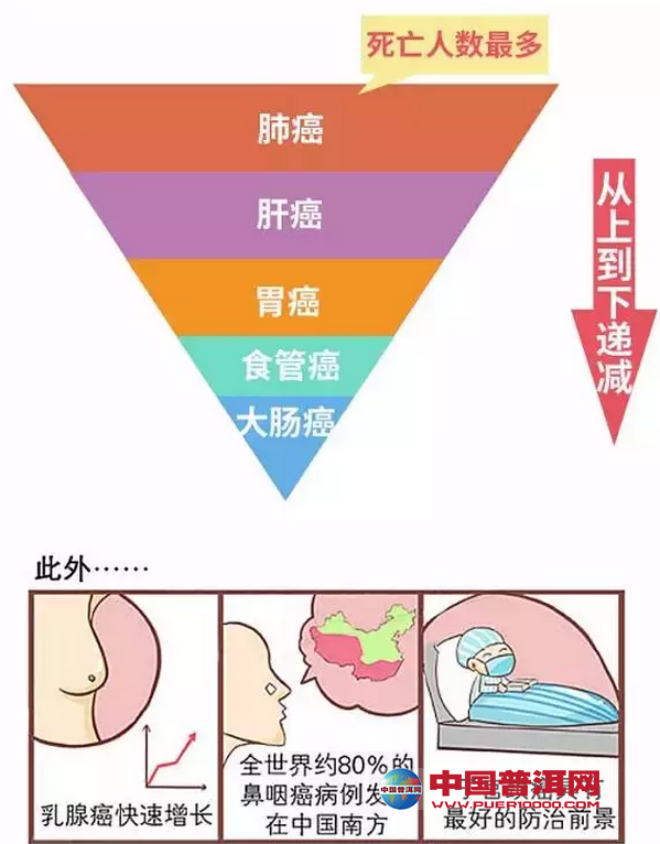 普洱茶