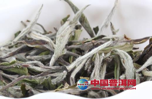 <u><a href='http://www.puer10000.com/puerzhishi/32854.html' target='_blank'>ն<u><a href='http://www.puer10000.com/puerzhishi/100997.html' target='_blank'></a></u></a></u>