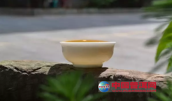 普洱茶
