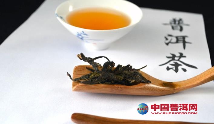 普洱茶