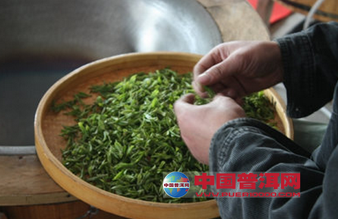 普洱茶