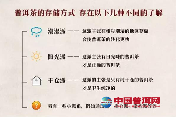 普洱茶