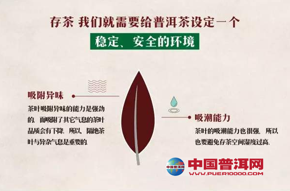 普洱茶