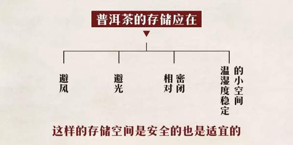 普洱茶