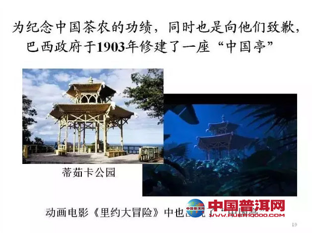 <u><a href='http://www.puer10000.com/puerzhishi/32854.html' target='_blank'>普洱<u><a href='http://www.puer10000.com/puerzhishi/100997.html' target='_blank'>茶</a></u></a></u>