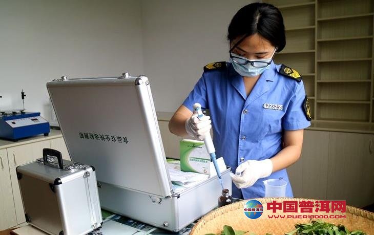 普洱茶