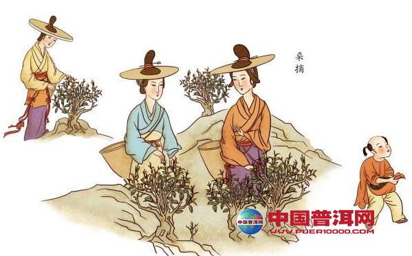 <u><a href='http://www.puer10000.com/puerzhishi/32854.html' target='_blank'>ն<u><a href='http://www.puer10000.com/puerzhishi/100997.html' target='_blank'></a></u></a></u>