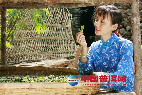 普洱茶