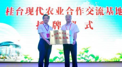 普洱茶