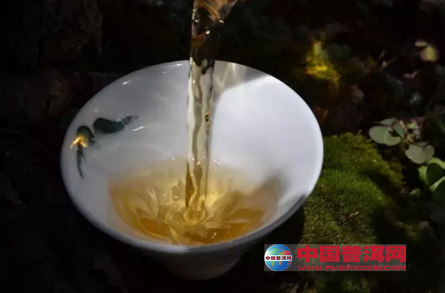 普洱茶