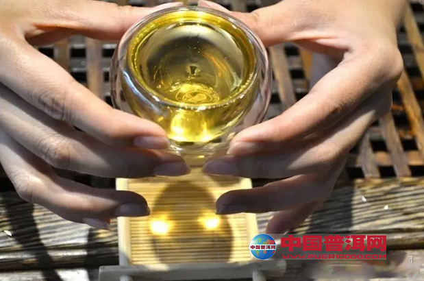 普洱茶