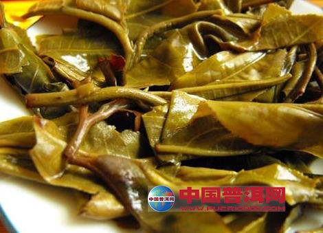 普洱茶