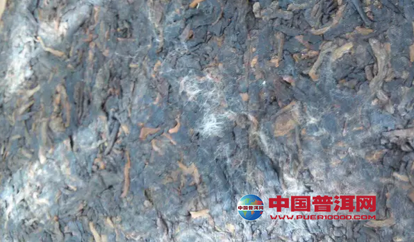 <u><a href='http://www.puer10000.com/puerzhishi/32854.html' target='_blank'>普洱茶</a></u>